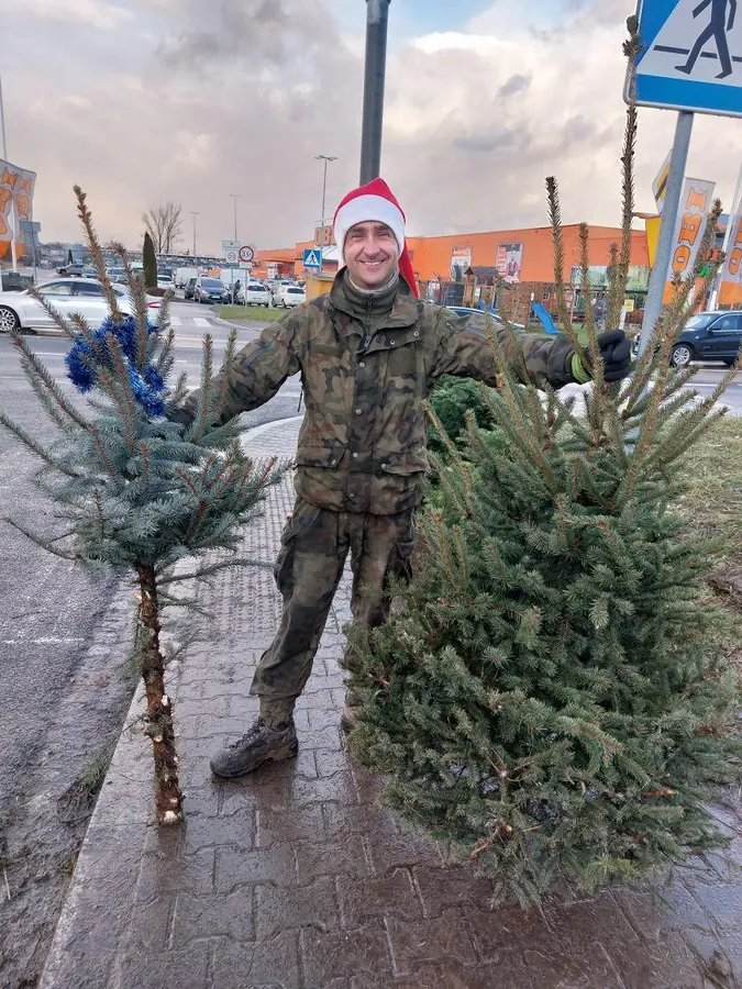Sprzedawca w czapce Mikołaja przy stoisku z choinkami w Krakowie