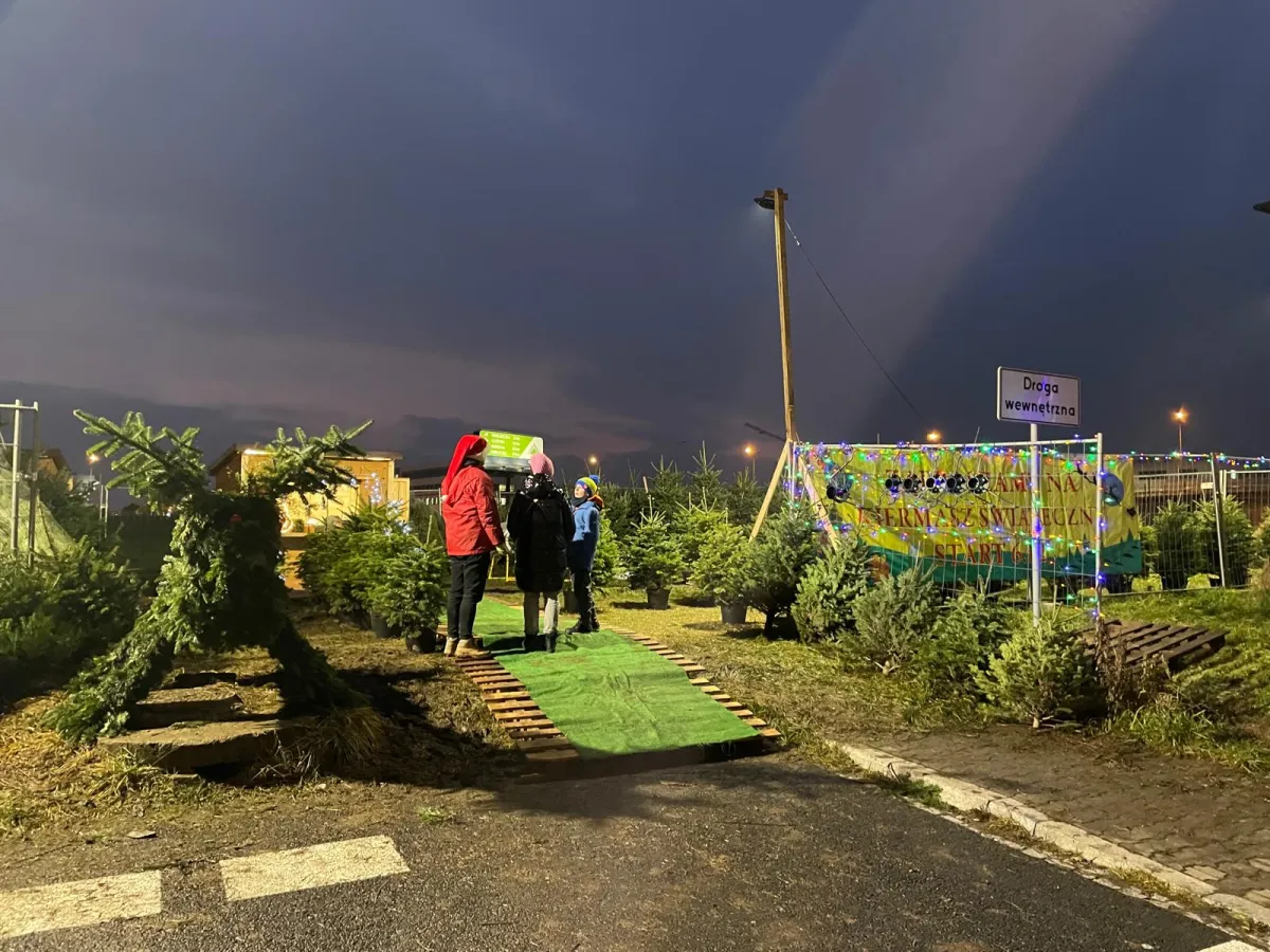 Klienci wybierają choinkę na wieczornym stoisku z lampkami przy Galerii Bronowice w Krakowie